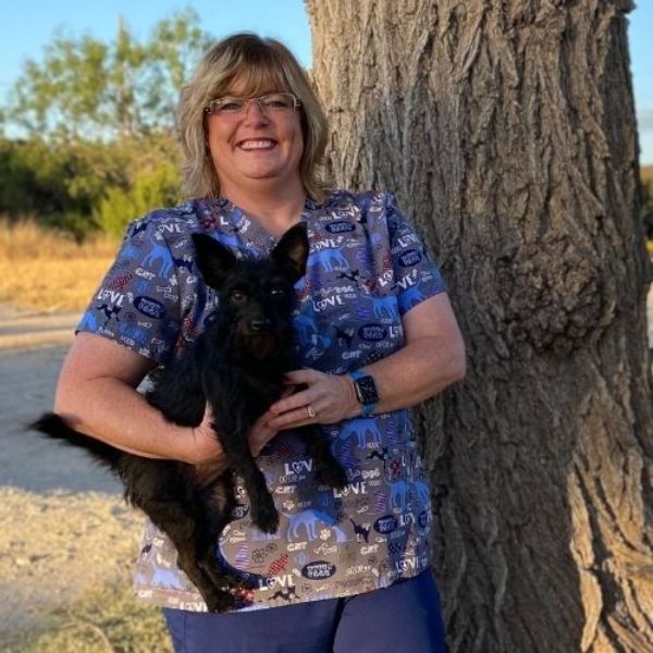 vet staff holding a dog