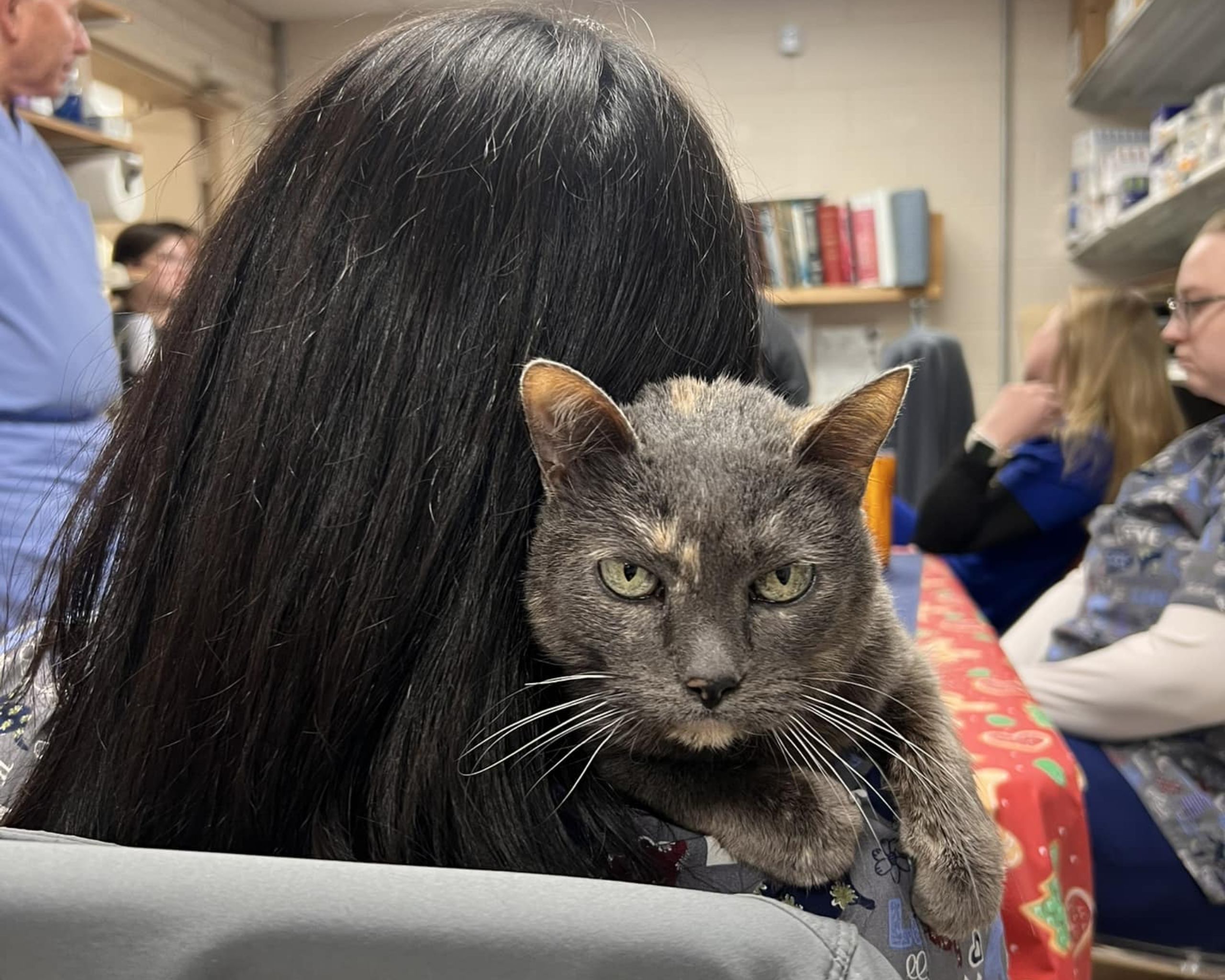 A lady sitting on a chair holding a cat