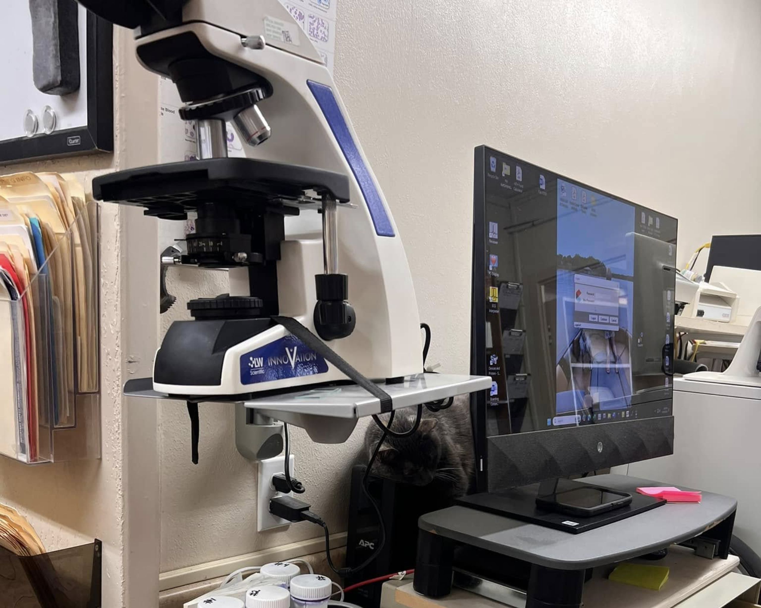 Highland Animal Hospital laboratory