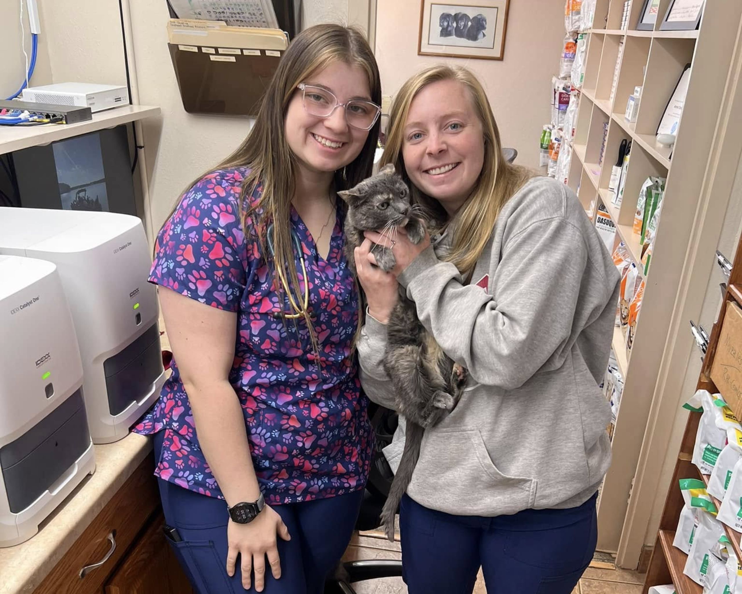 vet staff holding a cat
