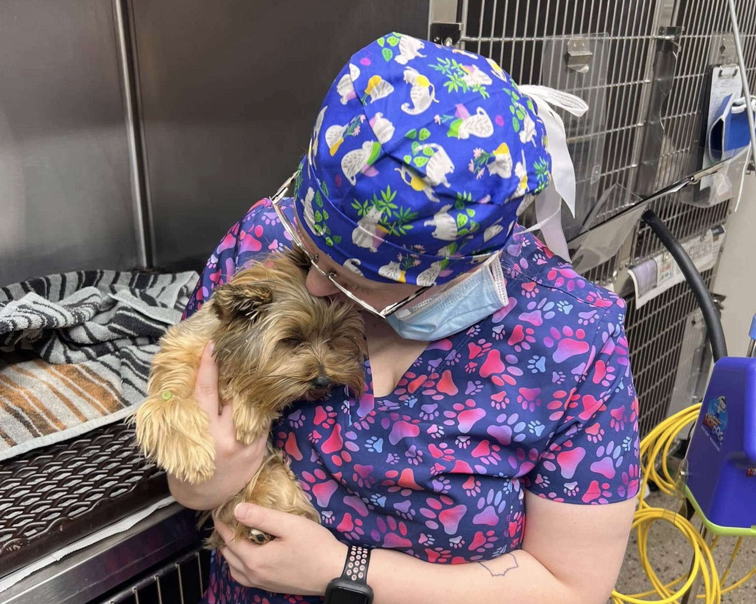 vet staff affectionately holding a dog